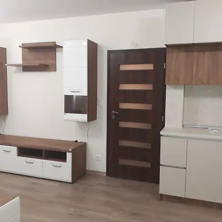 Ivkoni Apartment