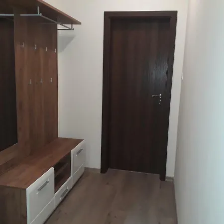 Apartment Ivkoni *