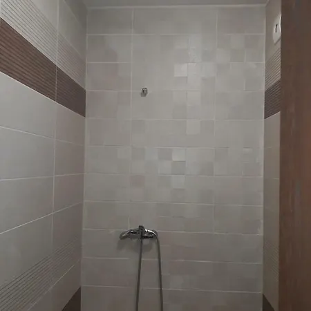 Apartment Ivkoni *
