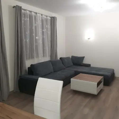 Apartment Ivkoni *